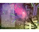New Chromatrap ChIP-validated antibodies now available for mammalian epigenetic research