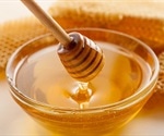 NMR Spectroscopy in Food Safety Maintenance