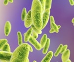EU to spend €188 million tackling animal diseases such as BSE