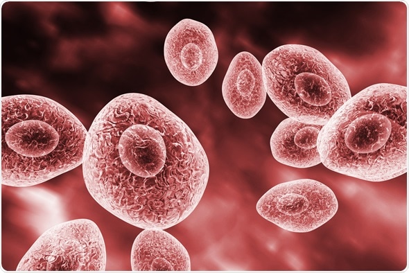 Pneumocystis jirovecii, opportunistic fungus which causes pneumonia in patients with HIV, 3D illustration - Image Copyright: Kateryna Kon / Shutterstock