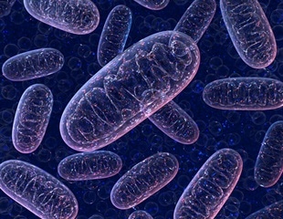 Targeting lactate metabolism offers new avenues for cancer treatment