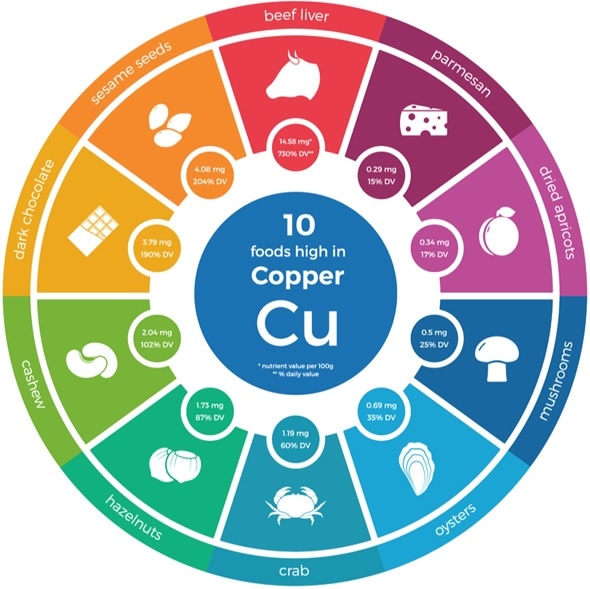 Copper Rich Foods