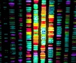 What is an Oligonucleotide?