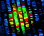 Y chromosome fully mapped for the first time