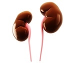 Millions of women may be unaware of their risk for cardiovascular-kidney-metabolic disease