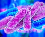 Swimming in lakes may increase risk of Legionella infection