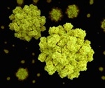 Penn researchers develop optimized framework for COVID-19 vaccination distribution