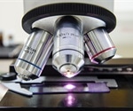 Collagen's structural diversity may be greater than previously believed, study suggests