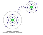 Electrochemical Analysis