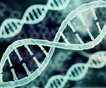 Gene circuit can be used to switch on inside cancer cells and stimulate immune attack, study suggests