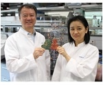 IBN researchers create DNA technology with two new genetic alphabets