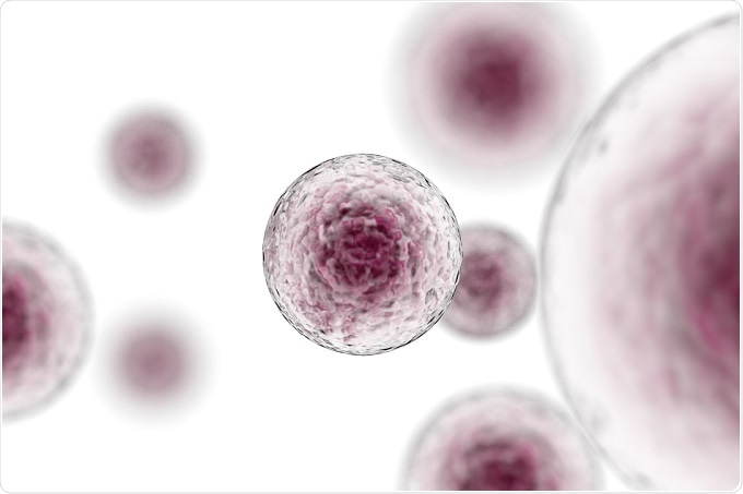 Cells