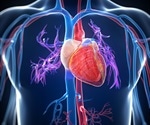Editorial emphasizes the critical role of heart-lung interactions in pulmonary vascular disease