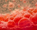Using Bioactive Glass Scaffolding to Accelerate Vascular Regeneration