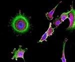 Biophotonics Techniques
