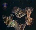 GFP in Nature