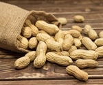 Study finds connection between air pollution and childhood peanut allergies