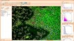 TissueQuest Analysis Software from TissueGnostics