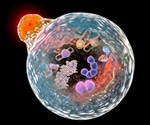Biophotonics in Cell Biology Studies