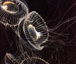GFP Applications