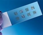 Protein and Peptide Microarray