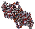New mechanism in cancer cells to disarm attacking immune cells, study reveals