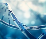 3D folding of DNA during cardiomyocyte differentiation provides vital epigenetic mechanisms, study says