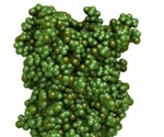 GFP Derivatives: CFP and YFP