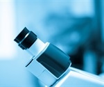 Two-Photon Microscopy Applications