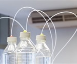 Optimizing Protein Purification with FPLC