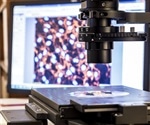 History of Single Molecule Experiments