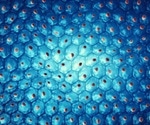 History of Cell Reprogramming