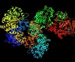 Cell-Matrix Adhesion Overview