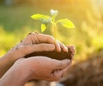 Scientists engineer light-emitting plant
