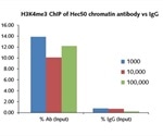 Chromatin immunoprecipitation from 1000 cells