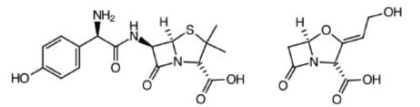 Amoxicillin & Clavulate. Routine ear, lung and sinus infections. Highest bioavailability of penicillin drugs.