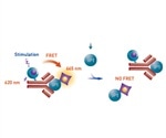 Reliable Measurement of HTRF Assays in 1536-Well Format Using Microplate Reader PHERAstar FSX