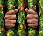 York researchers share new findings on who is at risk for orthorexia nervosa