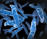 endTB-Q trial highlights importance of individualized regimens