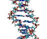 History of Genomics