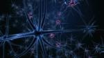 Mass Spectrometry for Brain Research