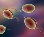 Sexually transmitted infections pose new threat to aging adults