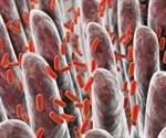 Achievements of the Human Microbiome Project