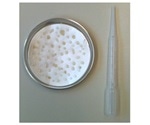 METTLER TOLEDO’s weighing and dosing solutions enable contract R&D lab to meet customers’ requirements
