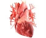 New study confirms cardiovascular safety of COVID-19 vaccines