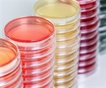 Disease-carrying mosquitoes fly free as health departments focus on coronavirus