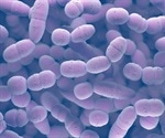 Molecular Achilles heel in the organism that causes pneumonia