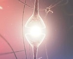 Controlling Neurons with Light