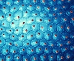 ASU researchers uncover crucial step in telomerase enzyme catalytic cycle