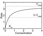 Enzyme Kinetics